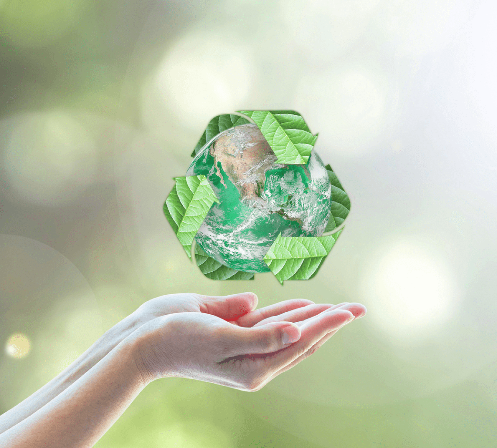 Waste Management Experts