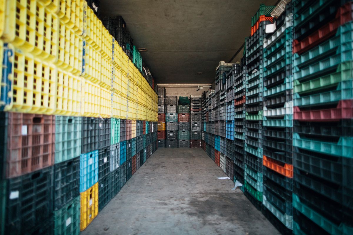 Low profile toast plastic crate 658x553x120 mm in Qatar