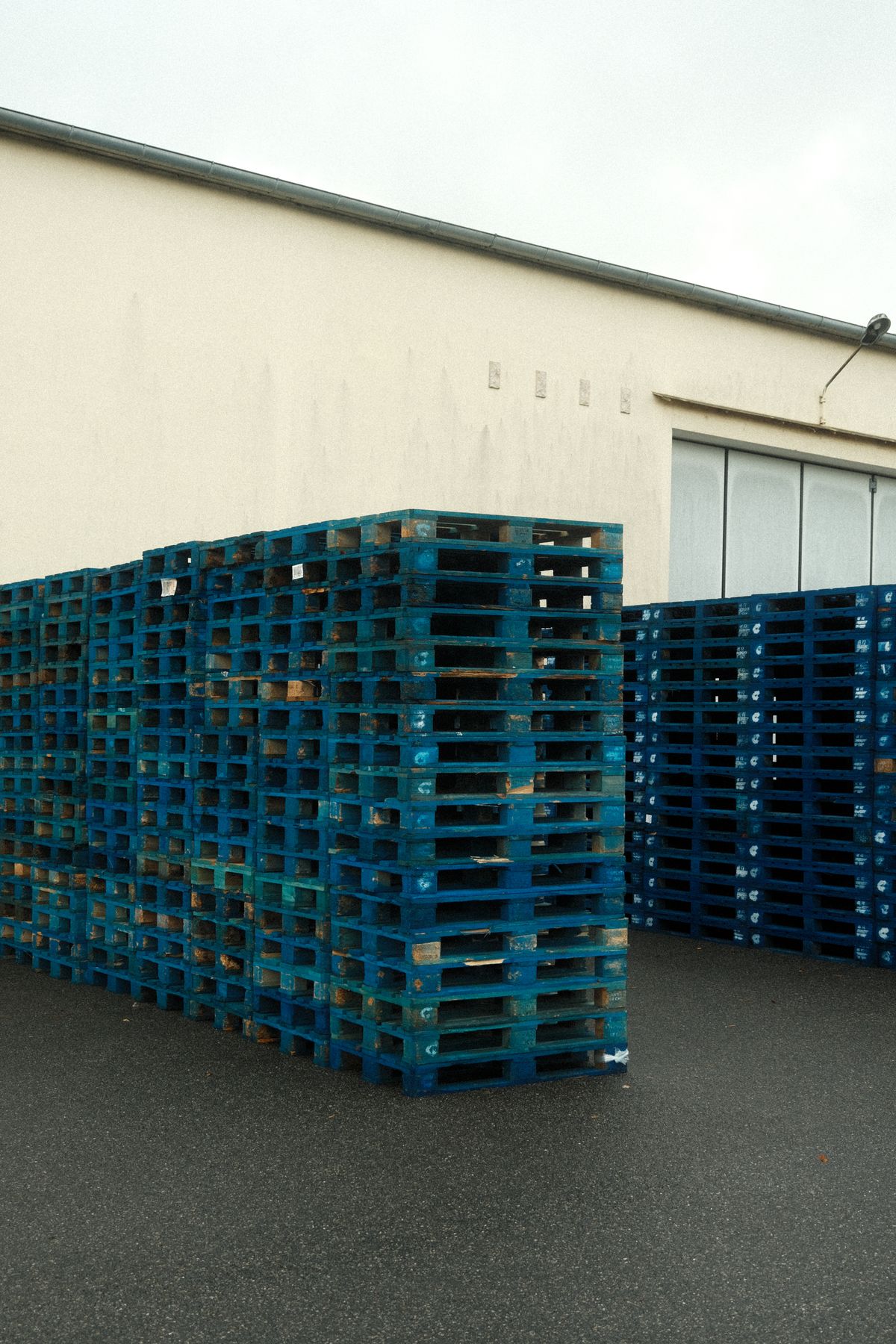 Steel reinforced 5 runner plastic pallet in Qatar