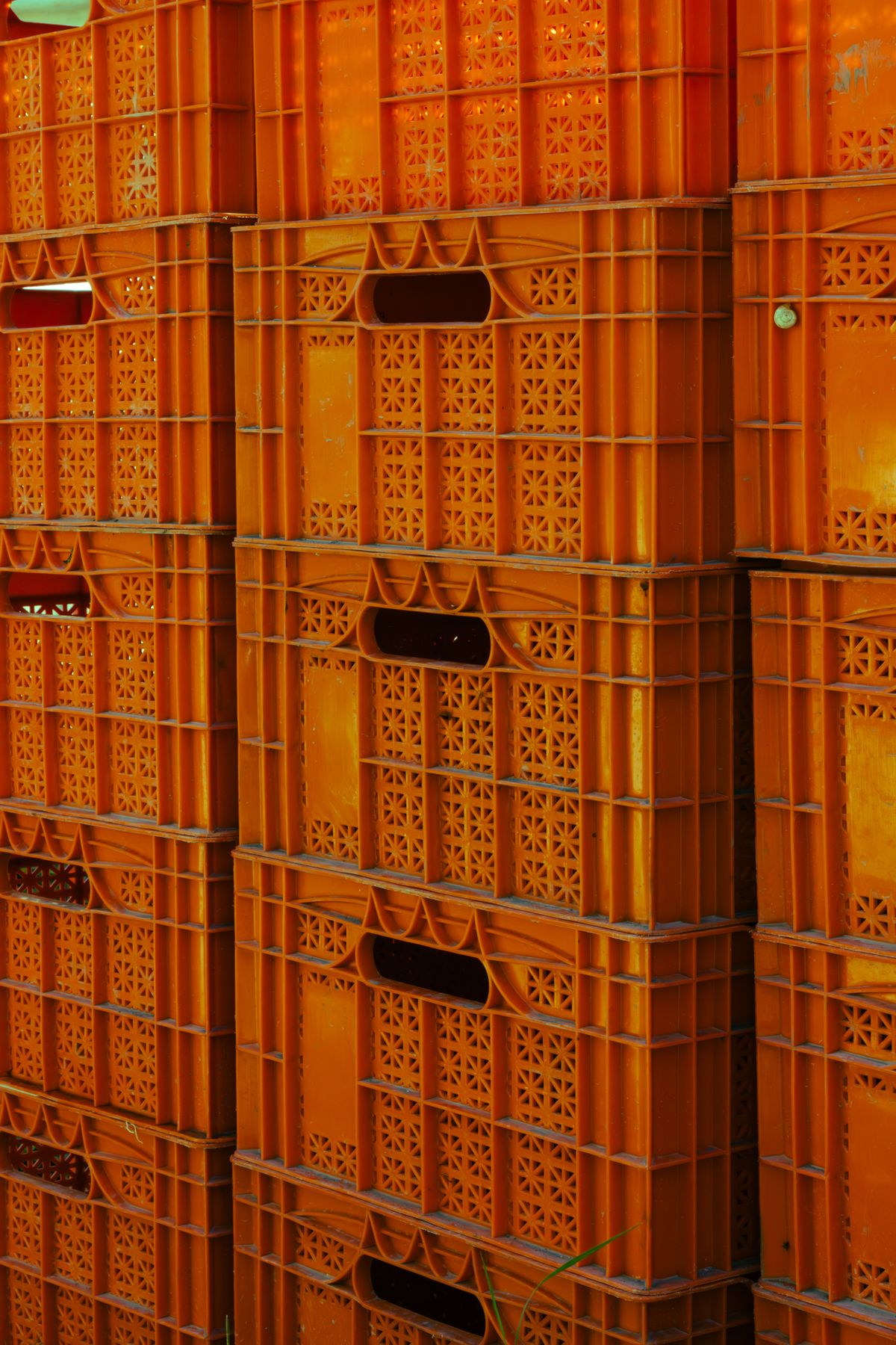 Dates plastic crate 585x385x210 mm in Qatar